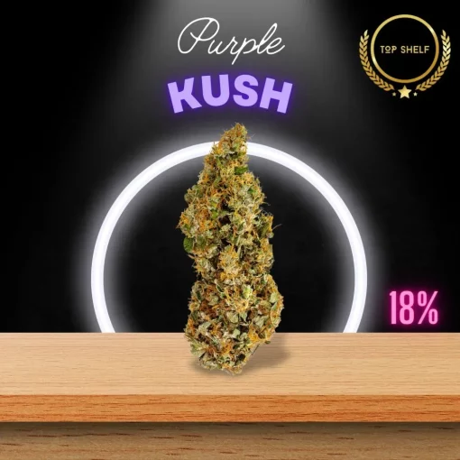 purple-kush-strain-UK